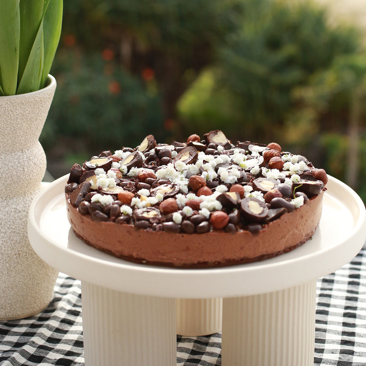 Raw Choc Hazelnut Cheesecake