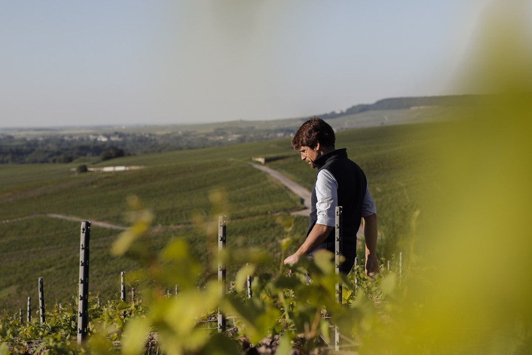 Thiénot Champagne House