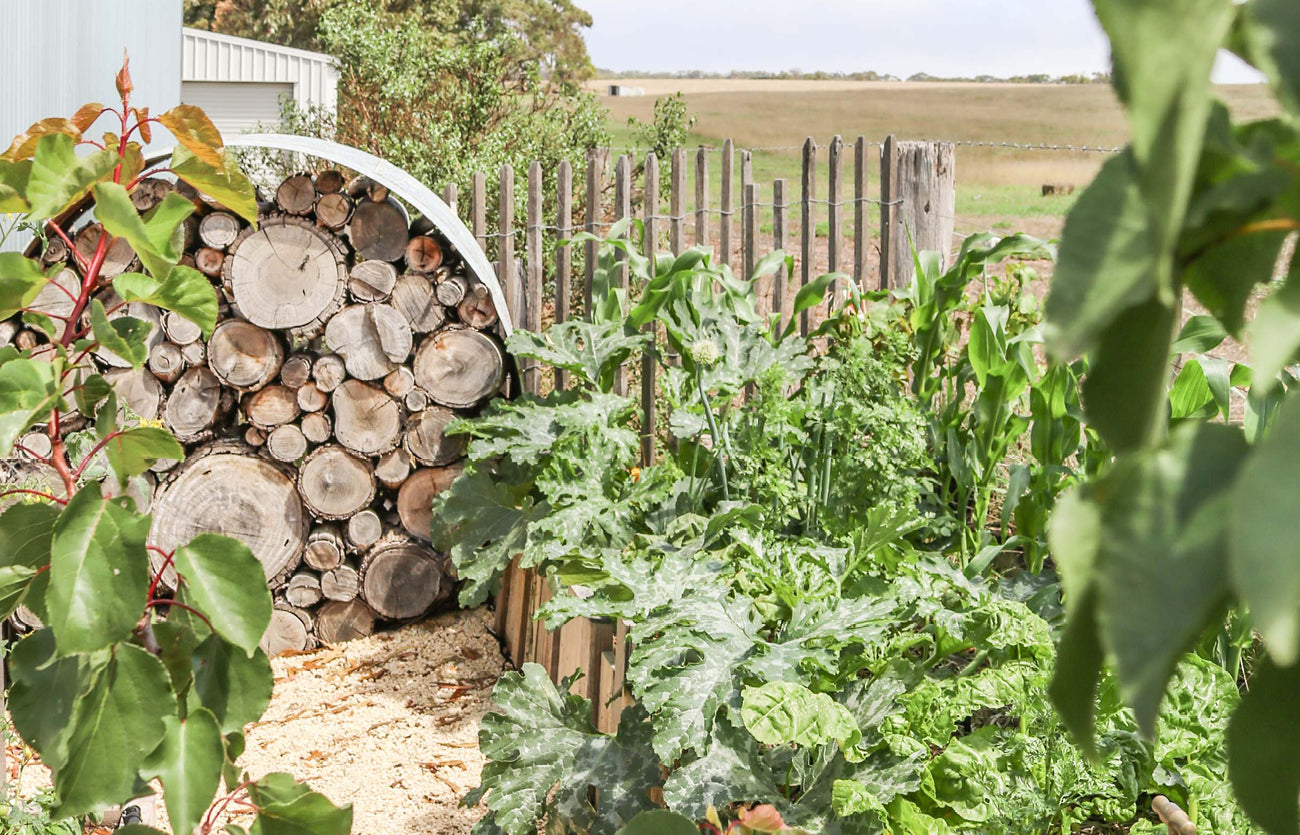 5. Composting Is Caring