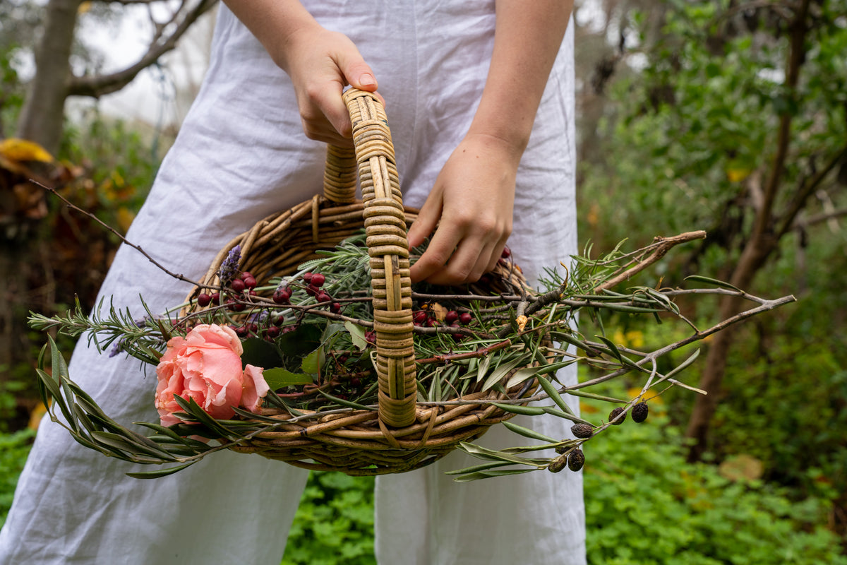 Rooted in Wisdom: Lily of the Herbs on a Holistic Approach to Sleep