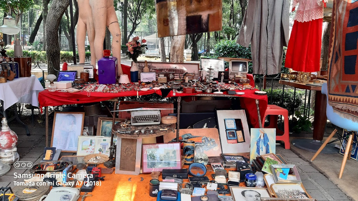 lea market in the Jardín Doctor Ignacio Chavez