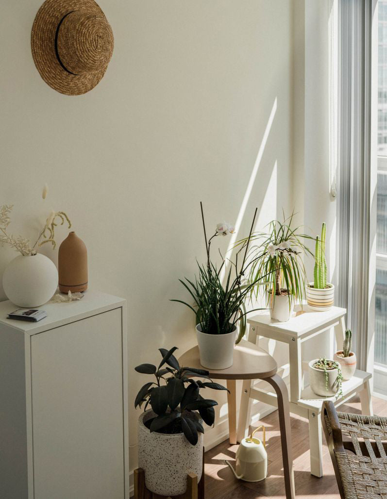 Places We Live - I Love Linen