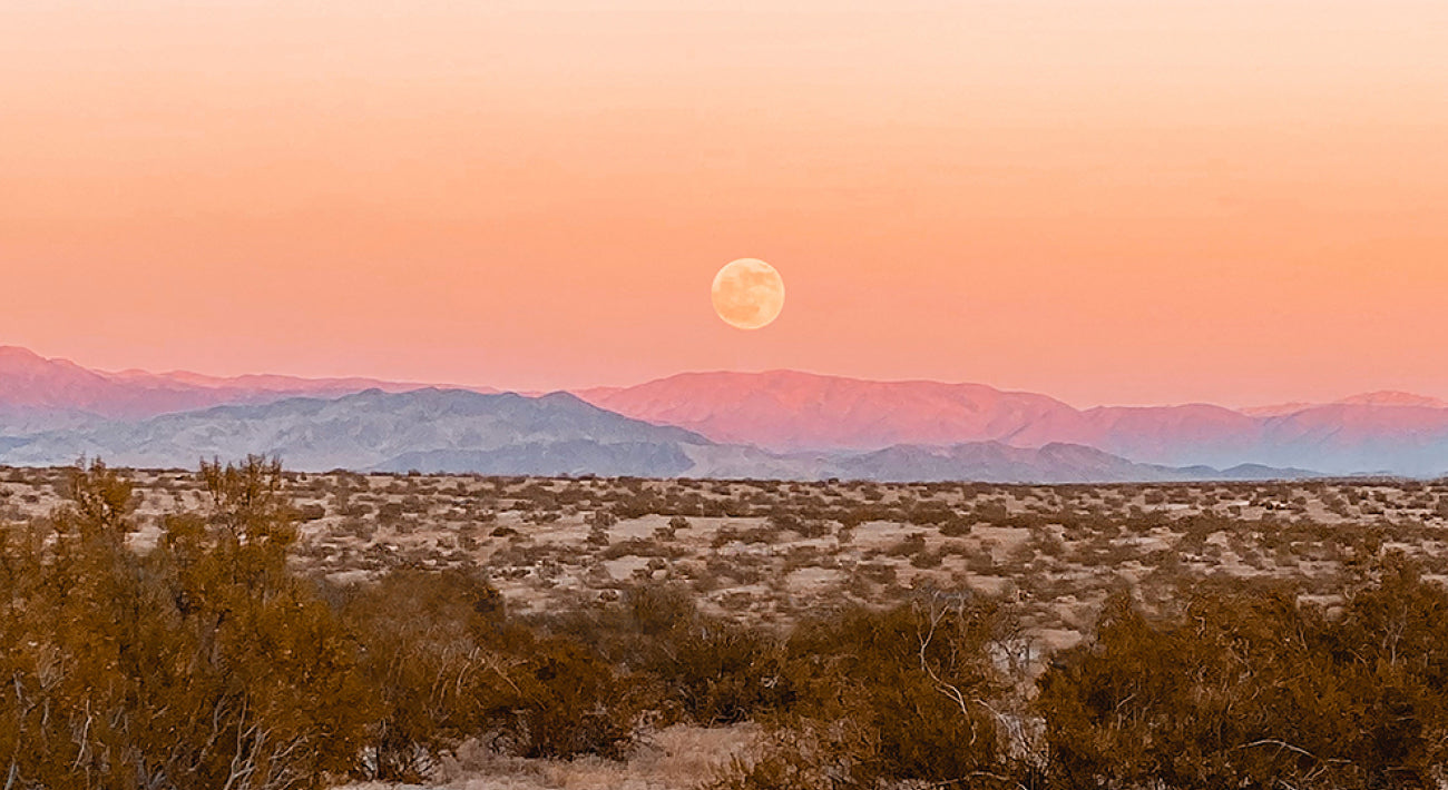 Places We Stay: @thejoshuatreehouse