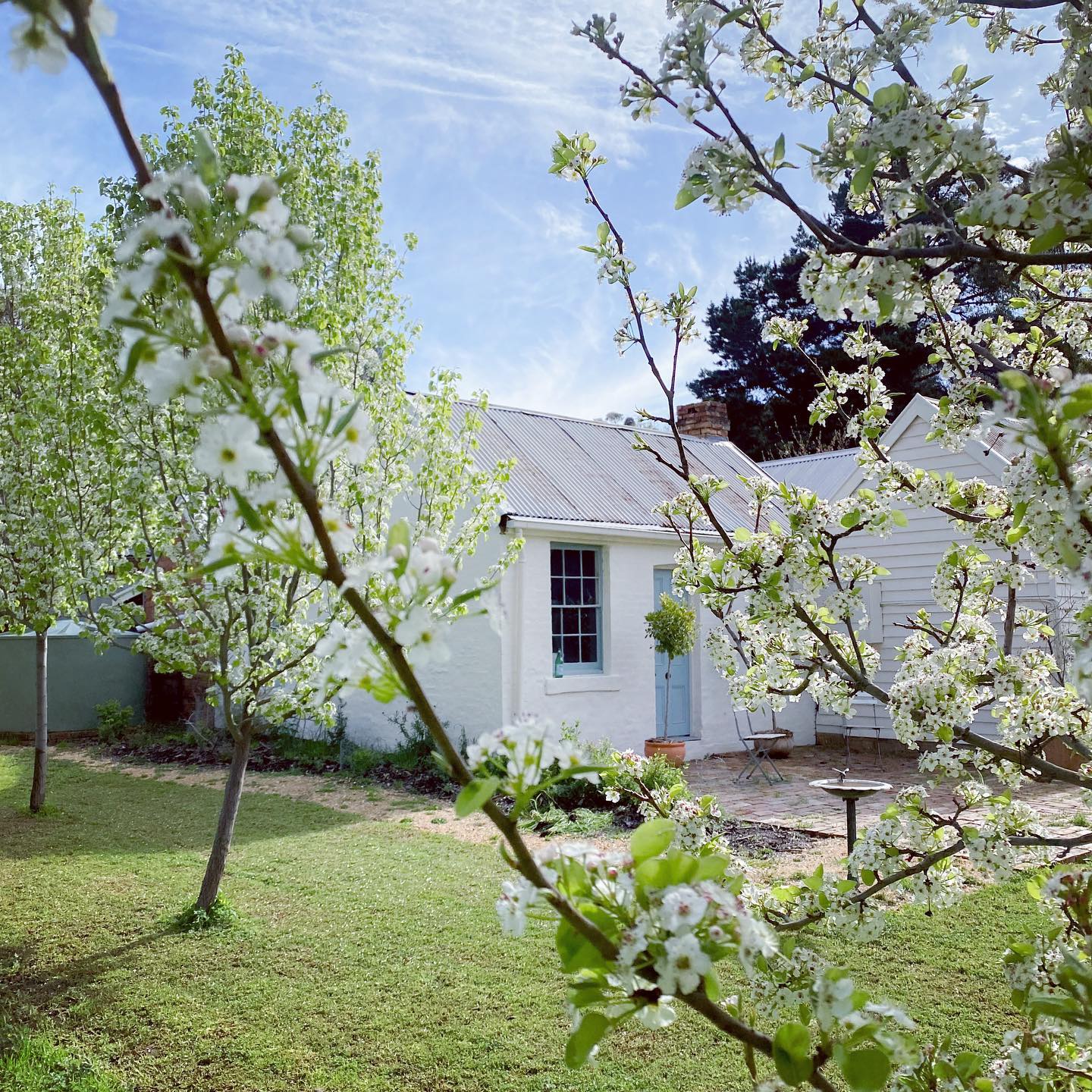 Lisles Gully Cottage