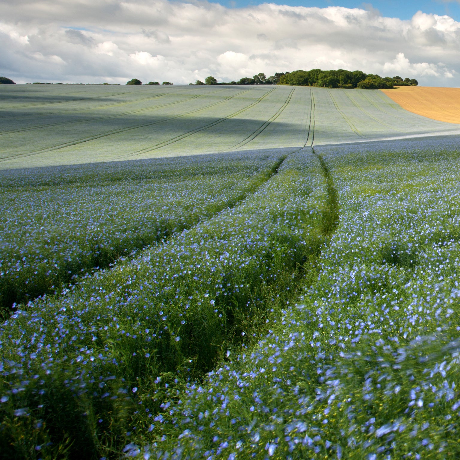 French Flax Linen Quilt Cover Set in Beige Gingham I Love Linen