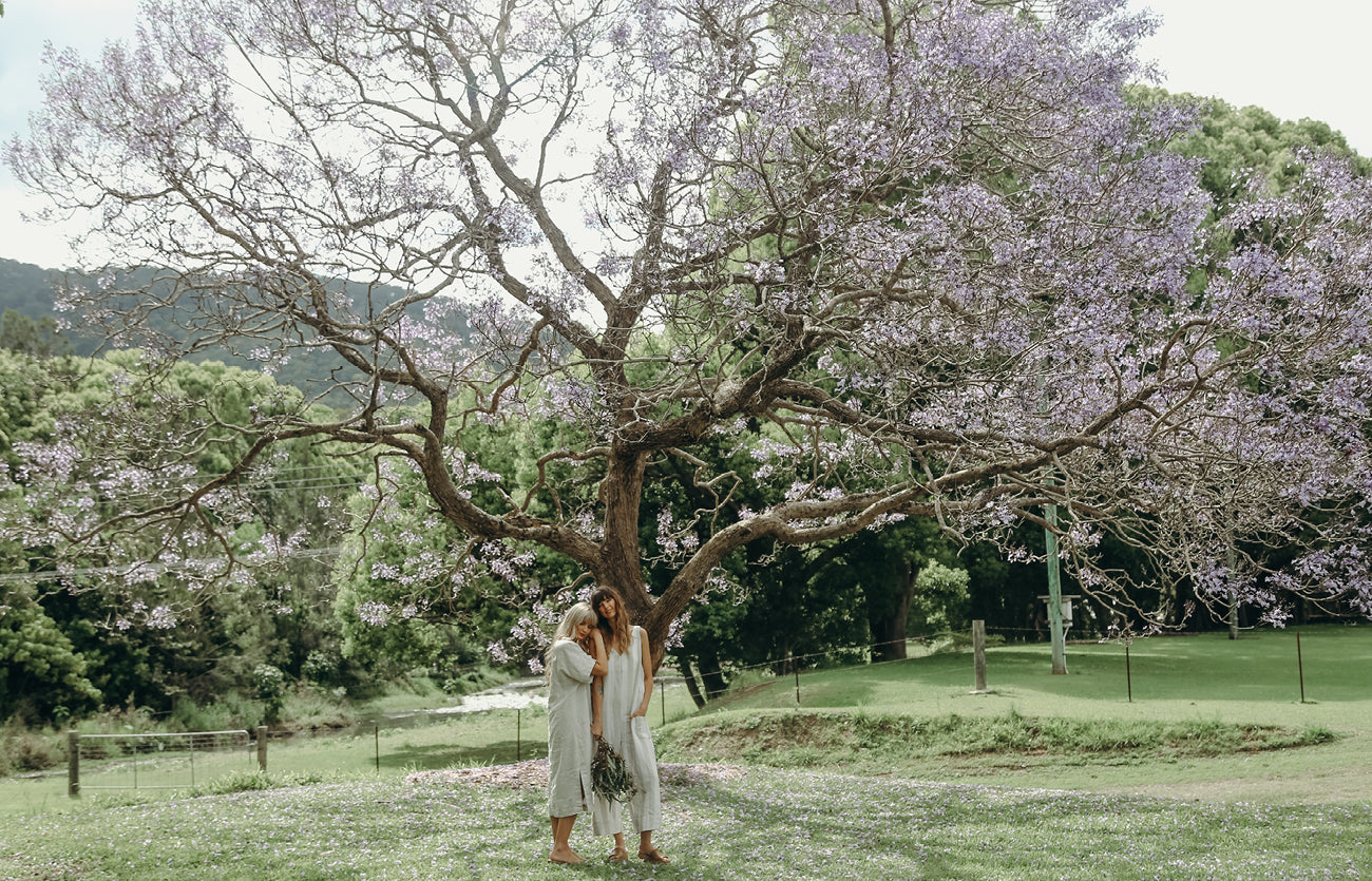 Discover our new summer colours