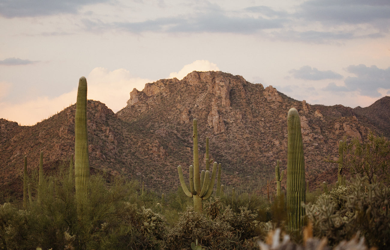 Our New Loungewear Goes To Arizona