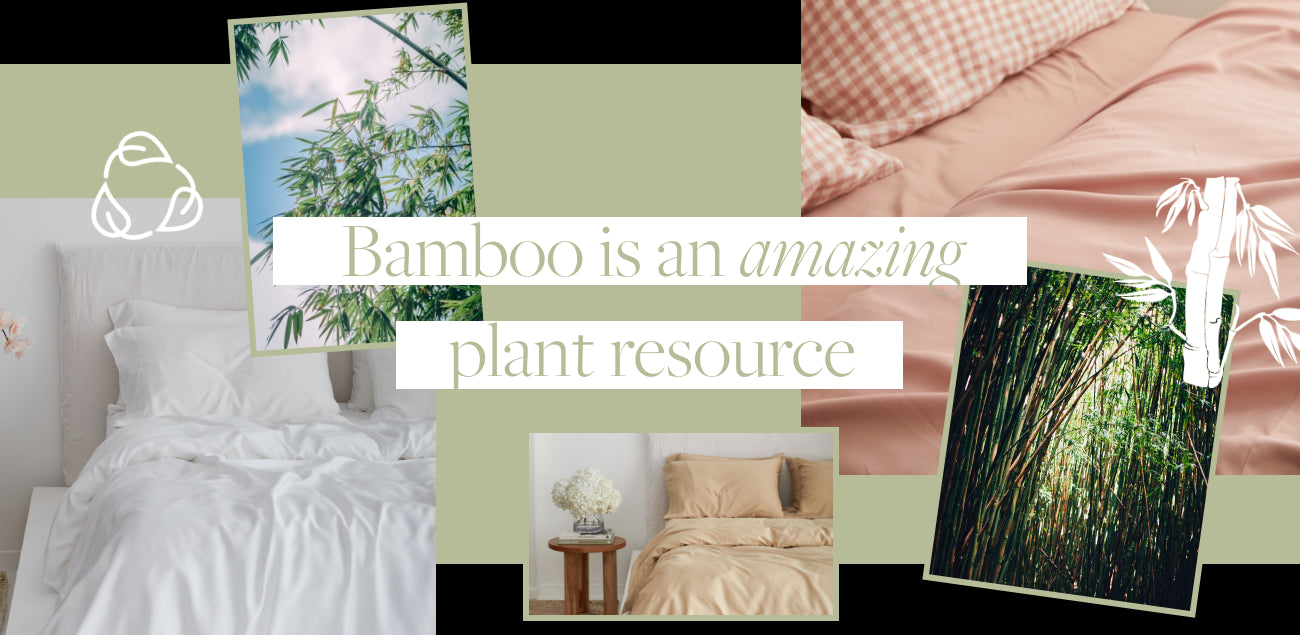 Is Bamboo really better in bed?