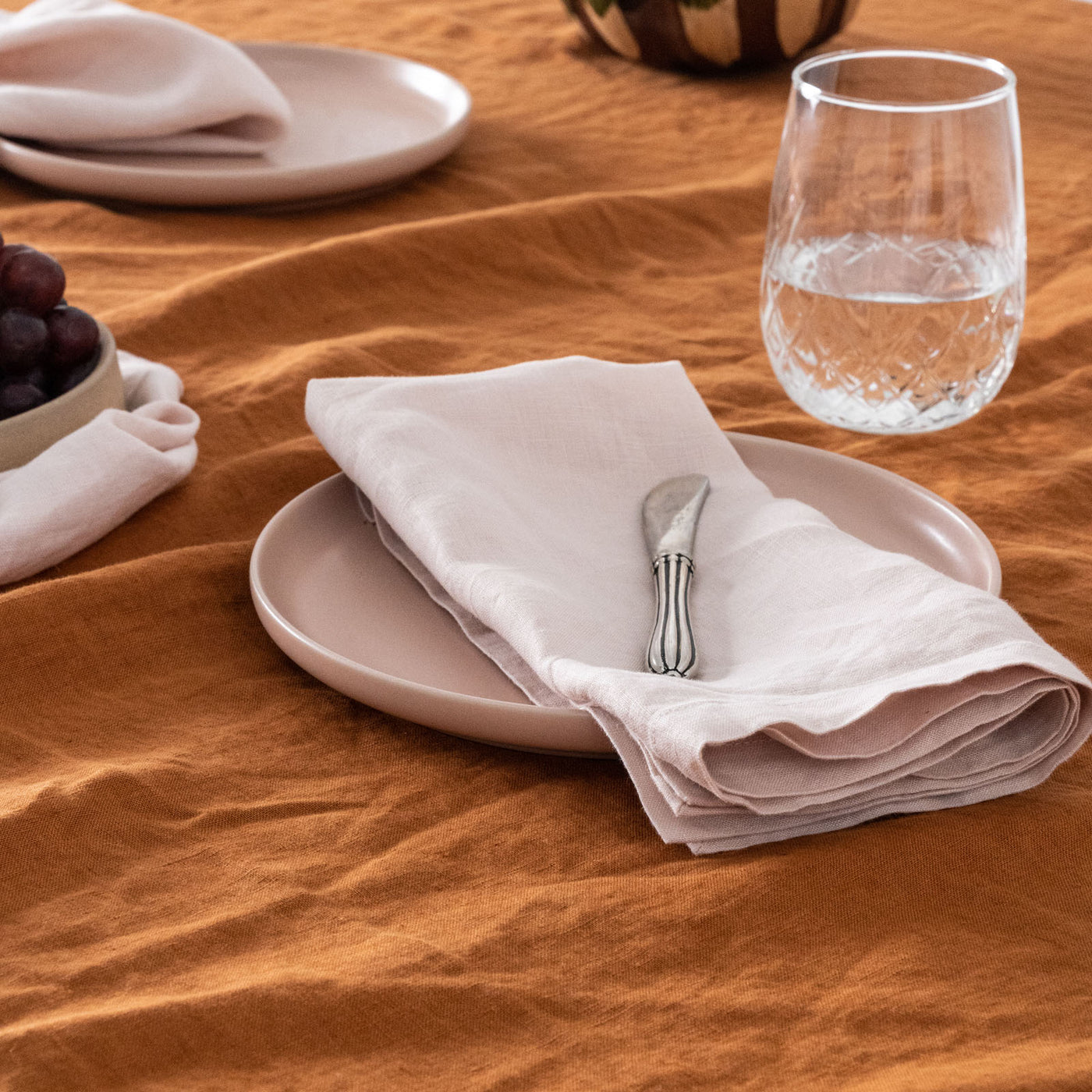 French Flax Linen Napkins (Set Of 4) in Blush